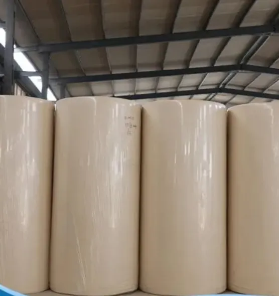 Guizhou Chitianhua Paper Industry, Natural Color Household Tissue Base Paper / Jumbo Roll Paper (Facial Tissues)