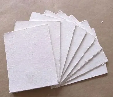 Bailong Bleached Hardwood Pulp