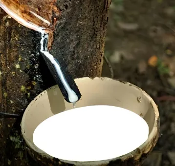 Natural rubber