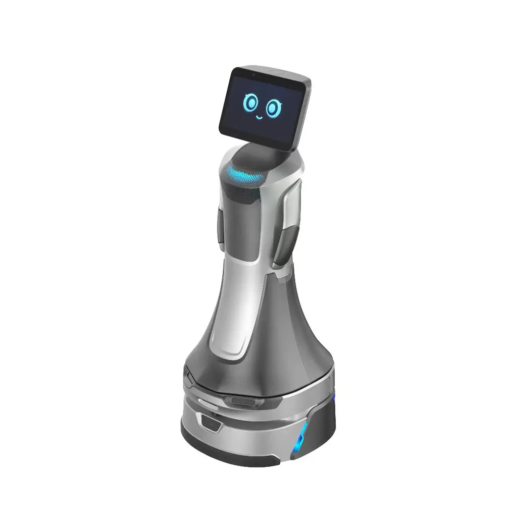 Humanoid welcome robot