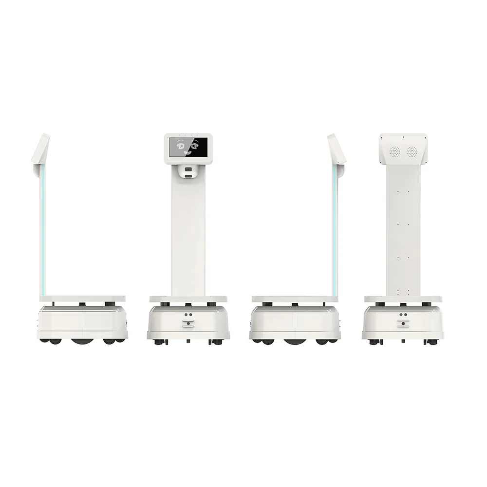 Tray-type delivery robot