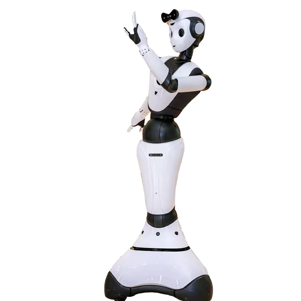 Humanoid welcome robot