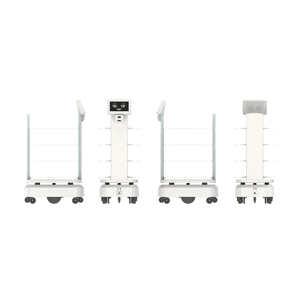 Customizable Multi-functional Delivery Robot with Modular Body