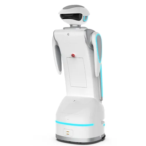 Service Robot (Smart Large Screen A1)