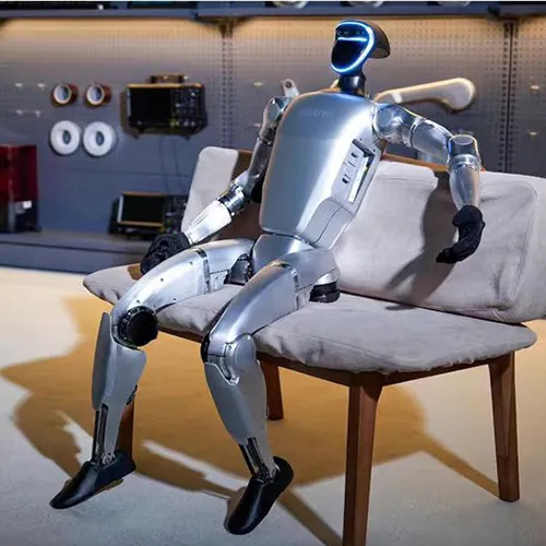 Bipedal humanoid robot G1