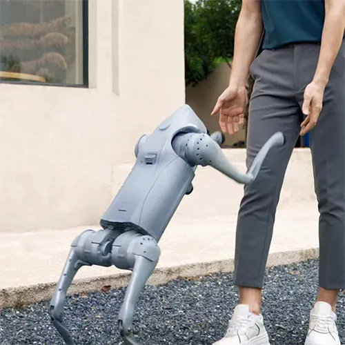 Quadruped robotic dog