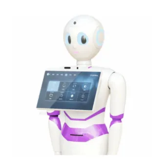 Ruiman Welcome Robot