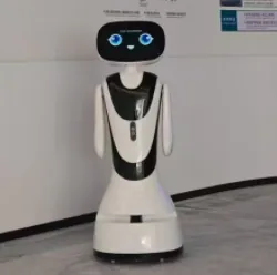 Little Fish Welcome Robot