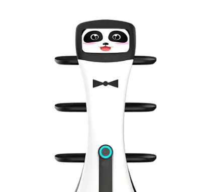 Panda Delivery Robot