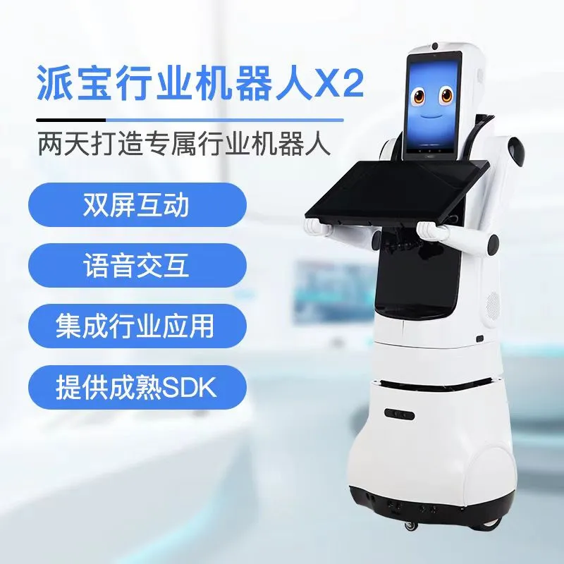 Paibao Welcome X2 Robot