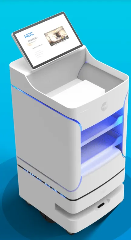 Customized delivery robot