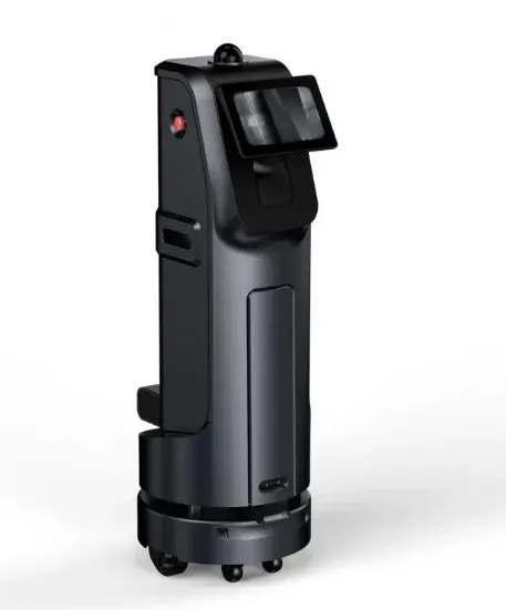 Detective patrol BlackJack robot