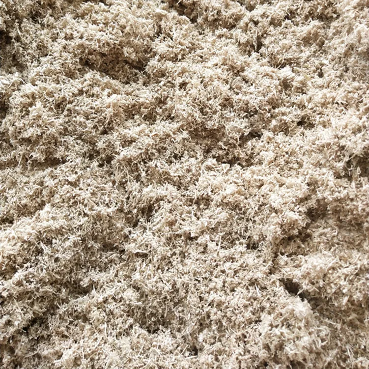 Bagasse pulp