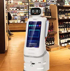 Large-screen service robot