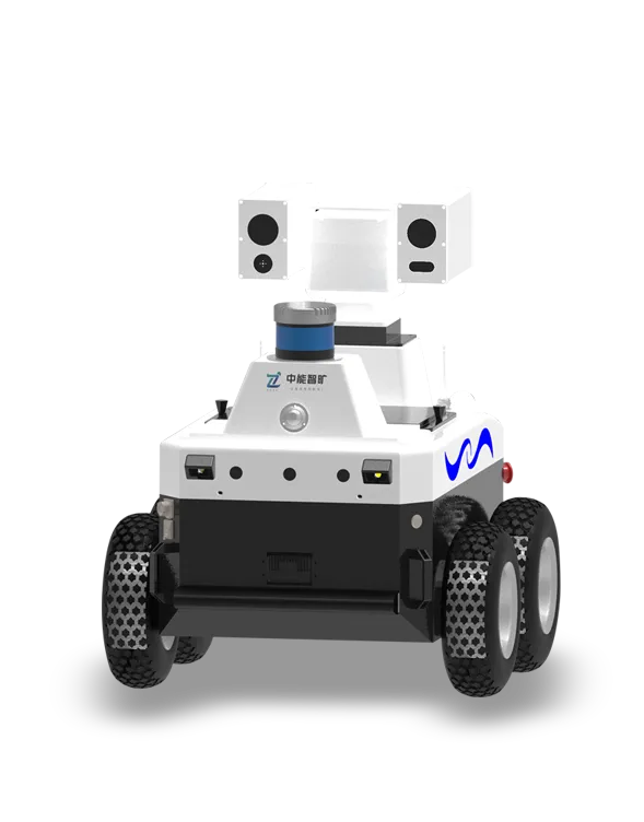 RW100 Inspection Robot