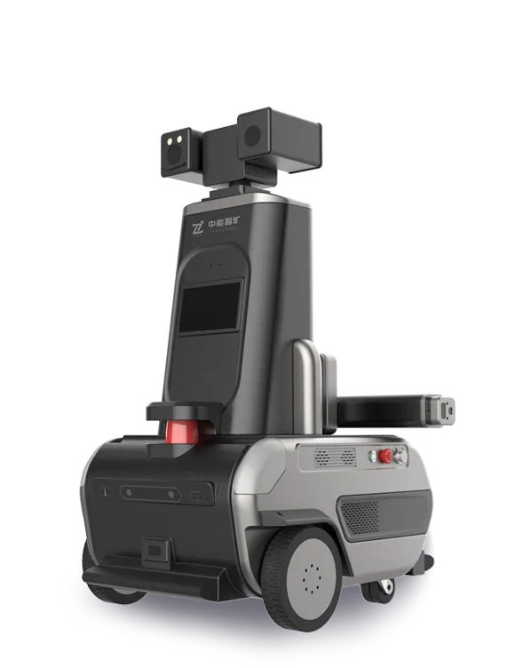 RW300 Inspection Robot