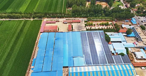 LINQING  DEHUI TEXTILE CO.,Ltd